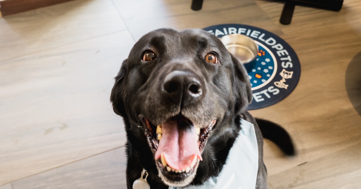 Fairfield FairfieldPets Program at PetFriendly Communities Nationwide